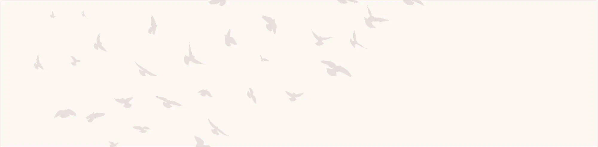 brandbirds-breaker-beige