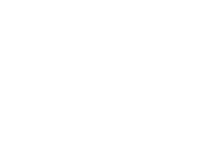 doppio-passo-logo-white